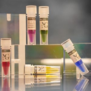 PCR Master Mix (2X)